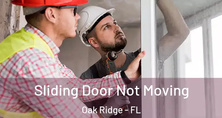Sliding Door Not Moving Oak Ridge - FL