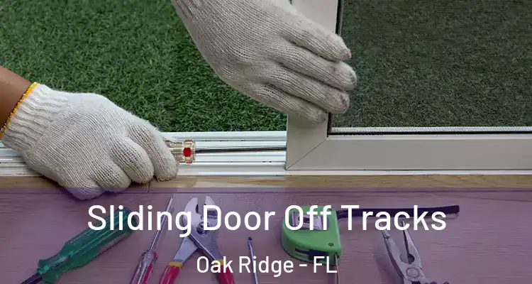 Sliding Door Off Tracks Oak Ridge - FL