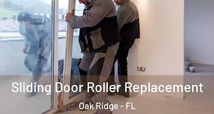 Sliding Door Roller Replacement Oak Ridge - FL