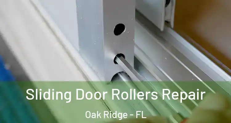 Sliding Door Rollers Repair Oak Ridge - FL