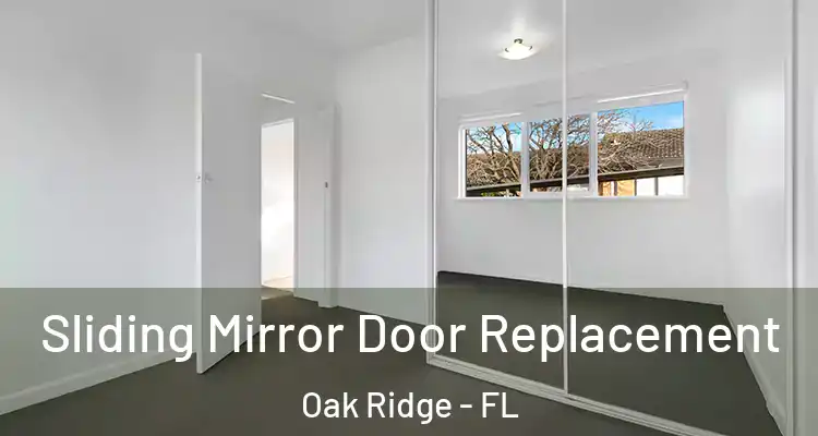 Sliding Mirror Door Replacement Oak Ridge - FL