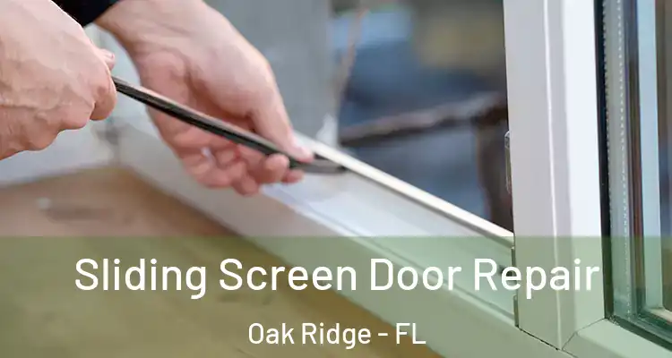 Sliding Screen Door Repair Oak Ridge - FL