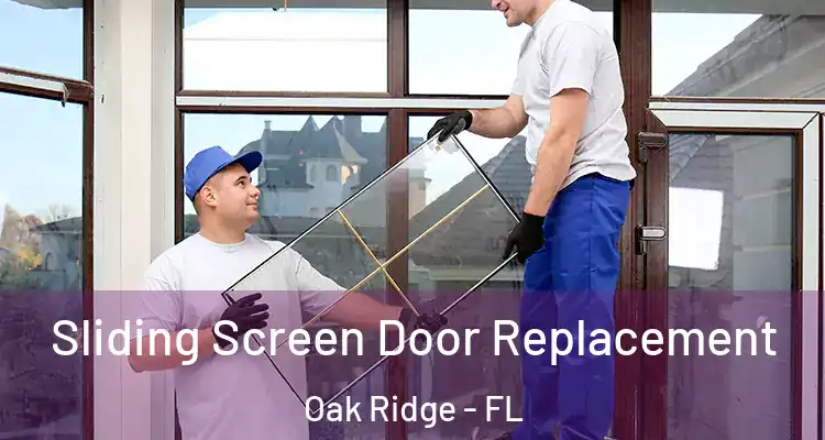 Sliding Screen Door Replacement Oak Ridge - FL