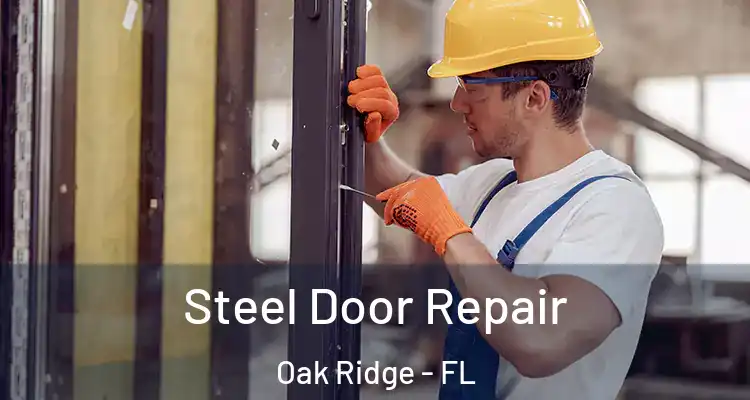 Steel Door Repair Oak Ridge - FL