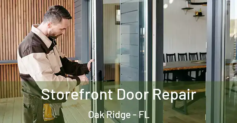 Storefront Door Repair Oak Ridge - FL
