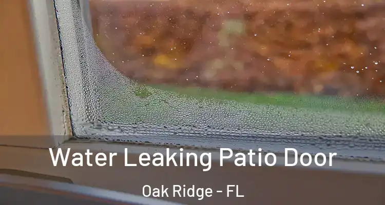 Water Leaking Patio Door Oak Ridge - FL