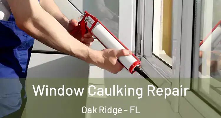 Window Caulking Repair Oak Ridge - FL