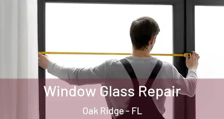 Window Glass Repair Oak Ridge - FL