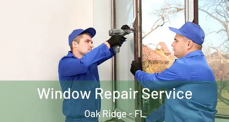 Window Repair Service Oak Ridge - FL