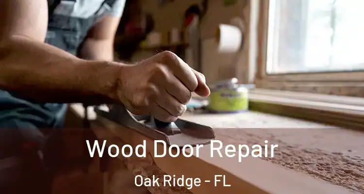Wood Door Repair Oak Ridge - FL